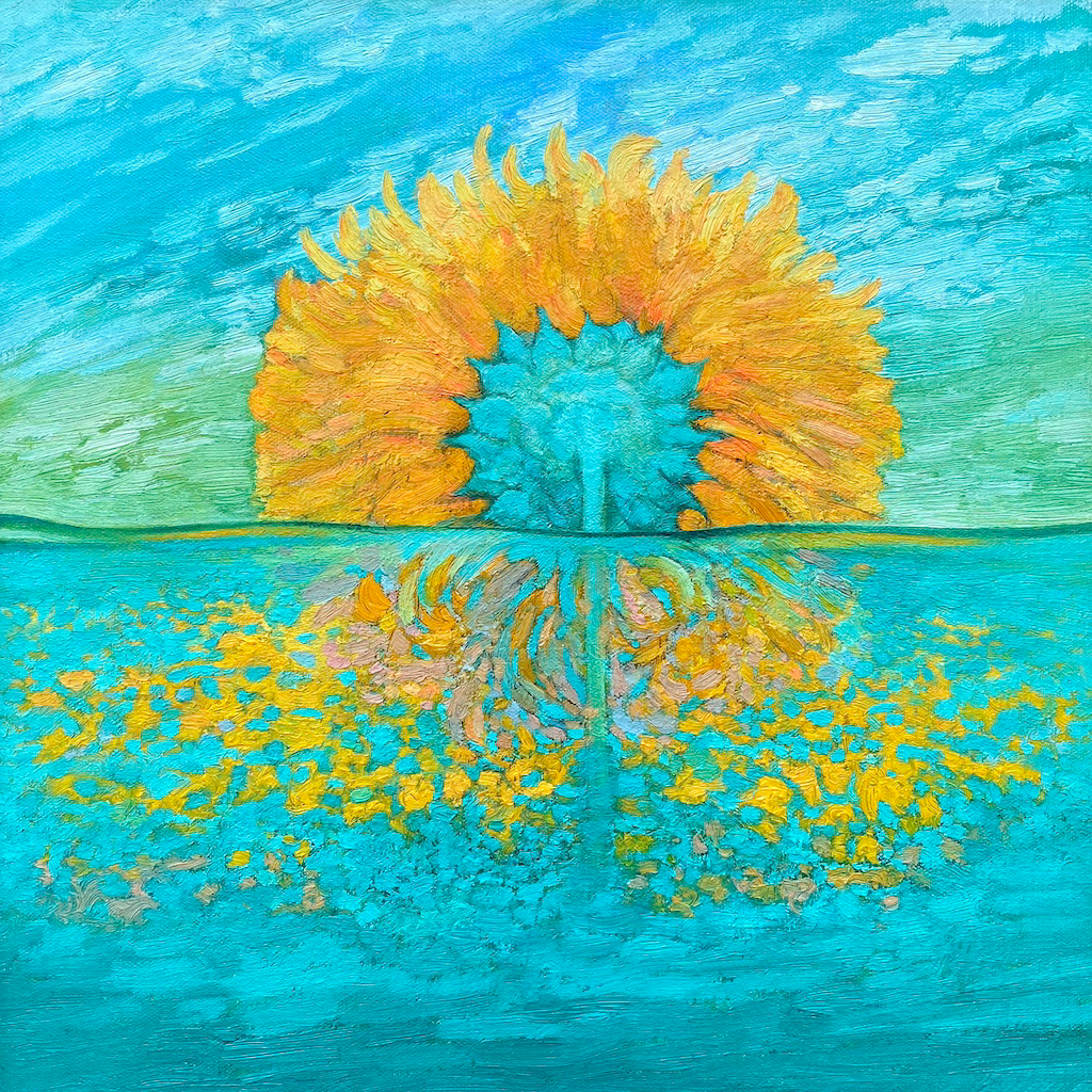 Sunflower – Truman – 1