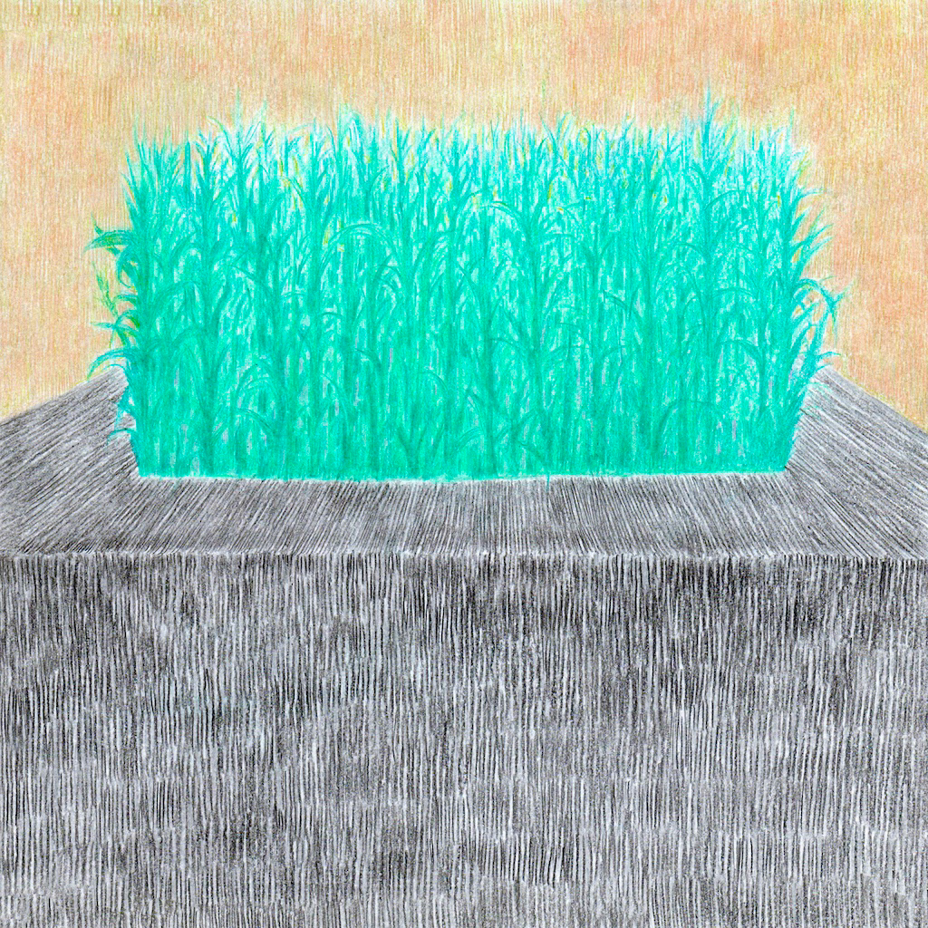 Casting Youth – 1
