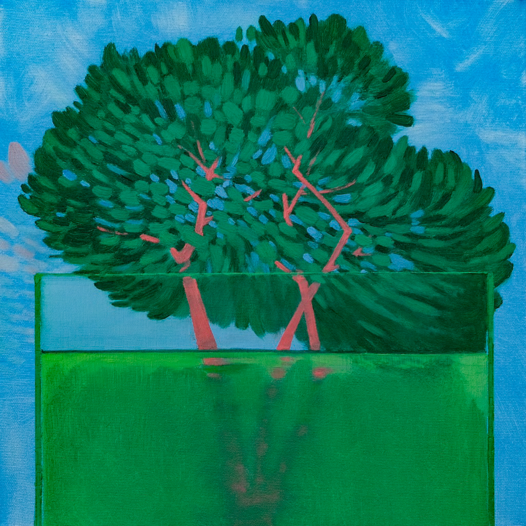 Hydroponic Plants
